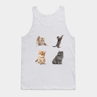 Awesome kitten cat love - cat lover pack Tank Top